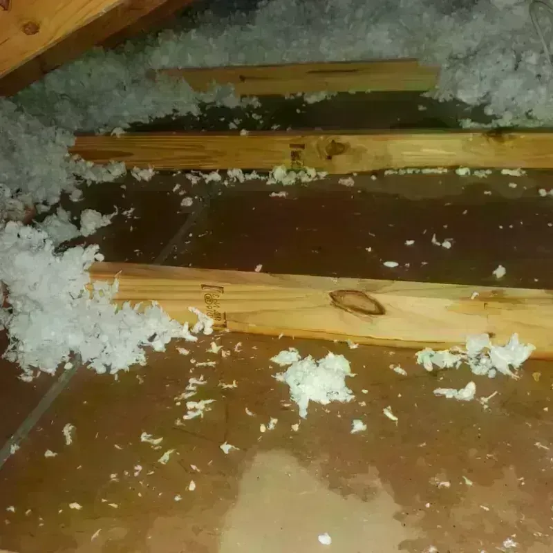 Attic Water Damage in Montgomery County, MS