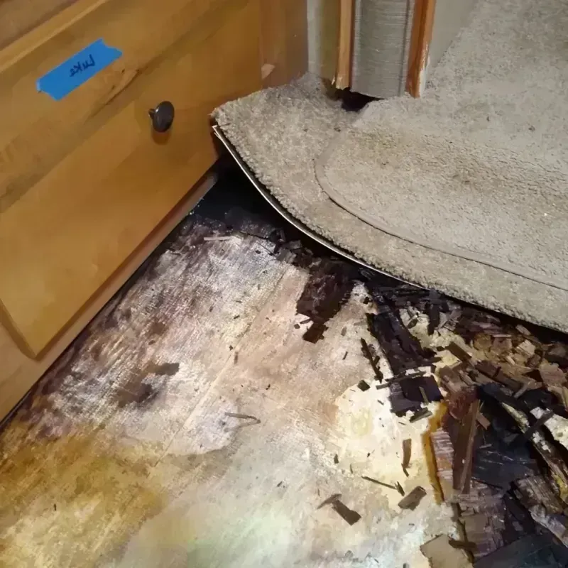 Wood Floor Water Damage in Montgomery County, MS